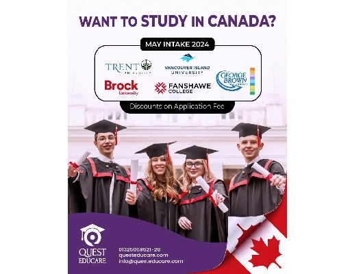 Digital Marketing Agency