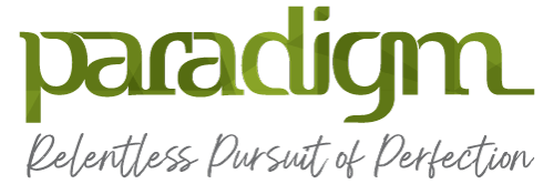 Digital-Agency-The-MINTco-X-paradigmbd